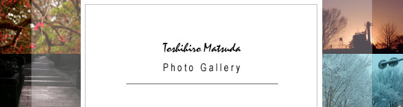 Toshihiro Matsuda Photo Gallery